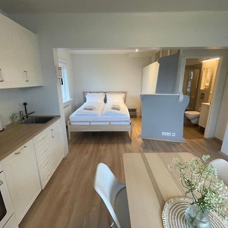 Cosy Studio Apartment Hveragerdi Exterior foto